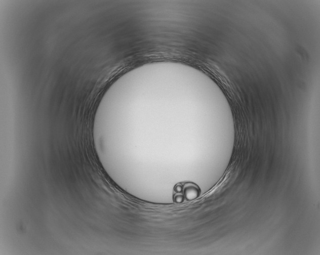 X0000111930045200907271039