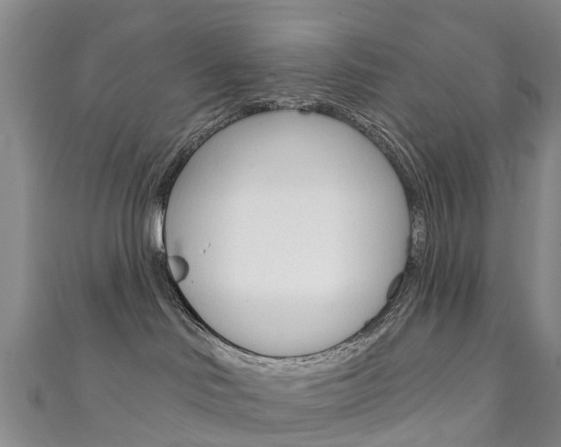 X0000111930046200907271039