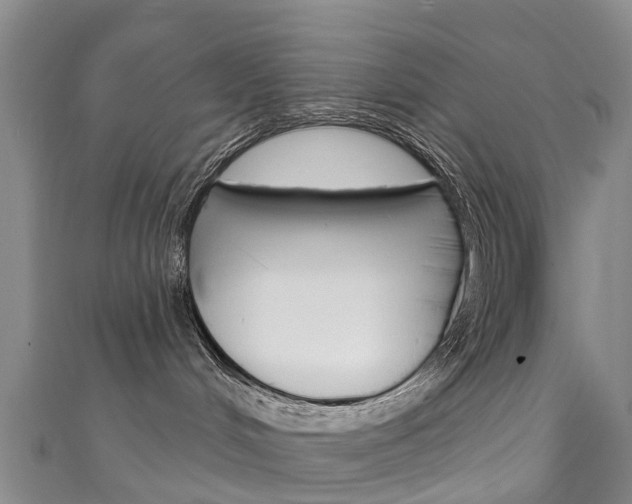 X0000111930048200907271039