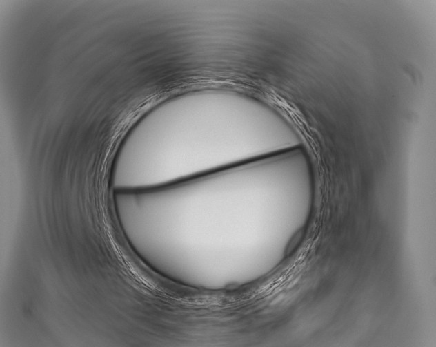 X0000111930049200907271039