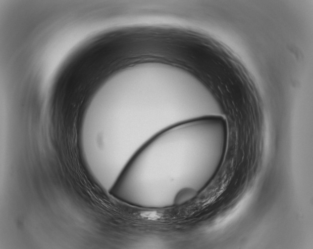X0000111930050200907271039