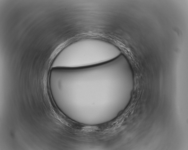X0000111930051200907271039