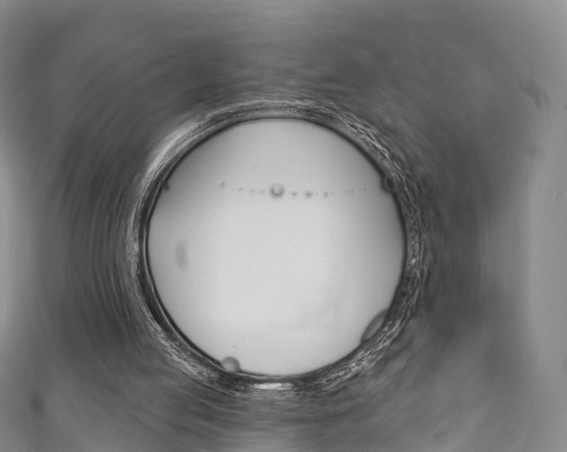 X0000111930053200907271039