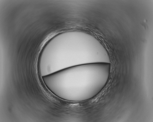 X0000111930054200907271039