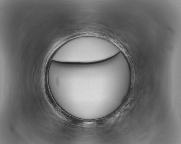 X0000111930055200907271039