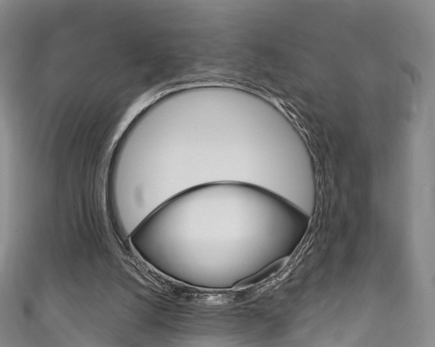 X0000111930056200907271039