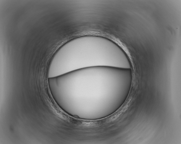 X0000111930057200907271039