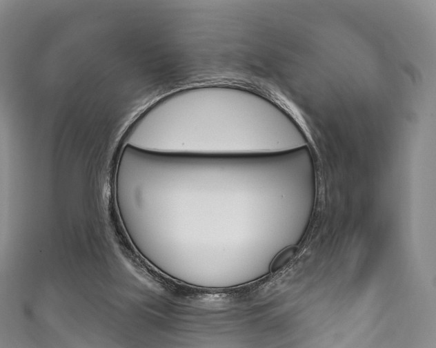 X0000111930059200907271039