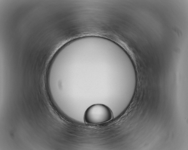X0000111930060200907271039