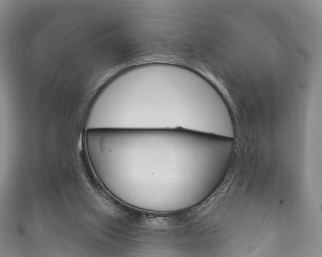 X0000111930062200907271039