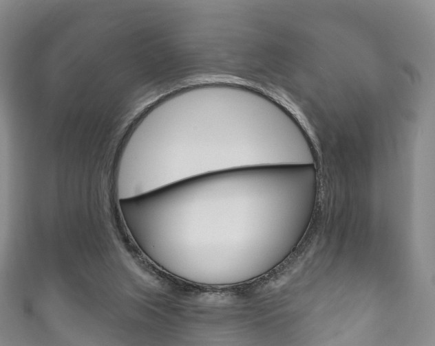 X0000111930063200907271039
