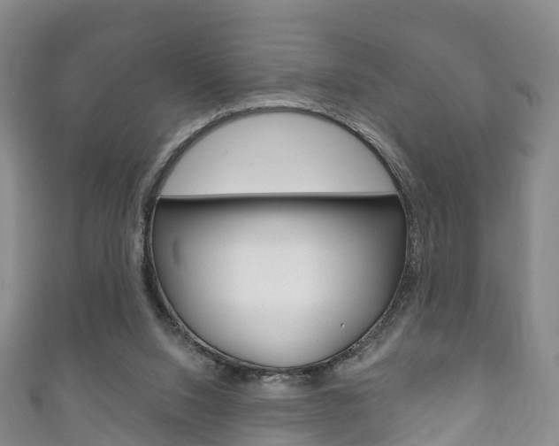 X0000111930064200907271039