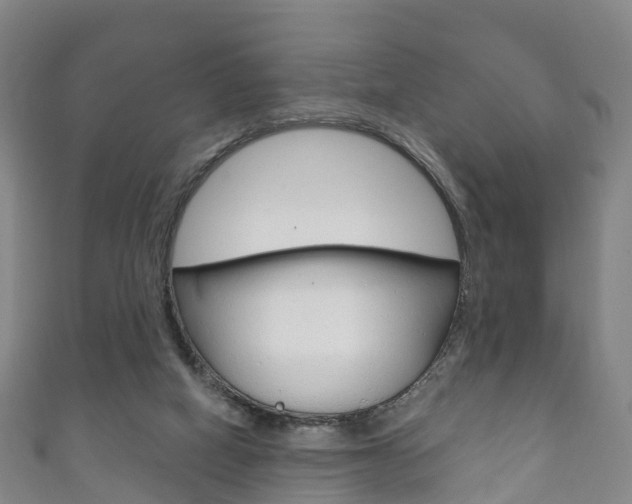 X0000111930066200907271039