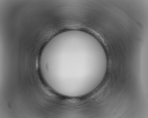X0000111930069200907271039