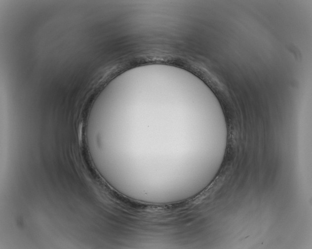 X0000111930070200907271039