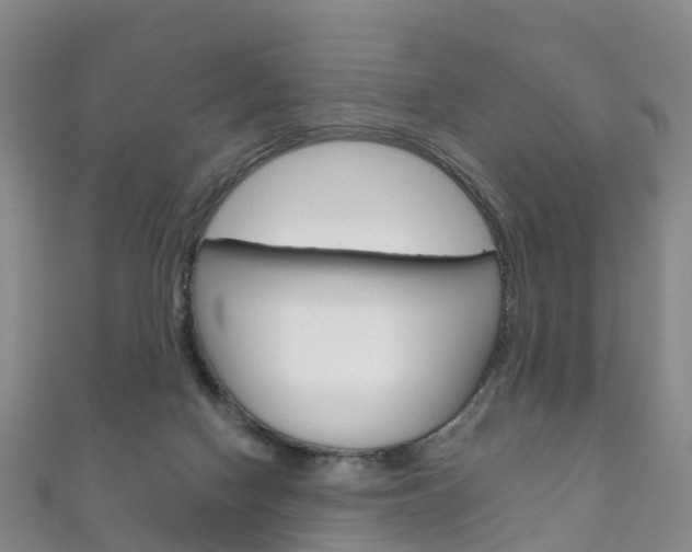 X0000111930074200907271039