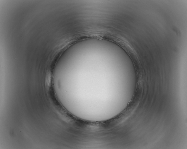 X0000111930076200907271039
