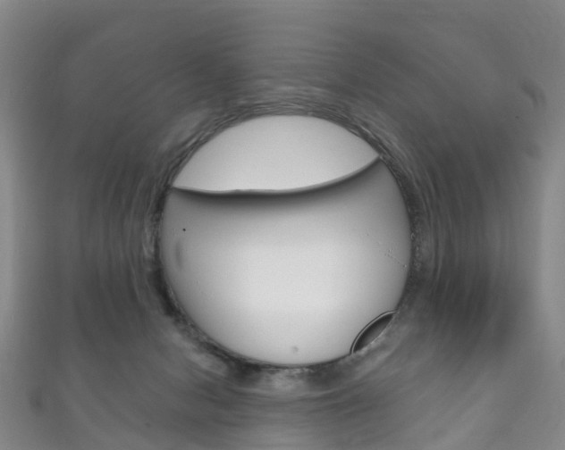 X0000111930078200907271039