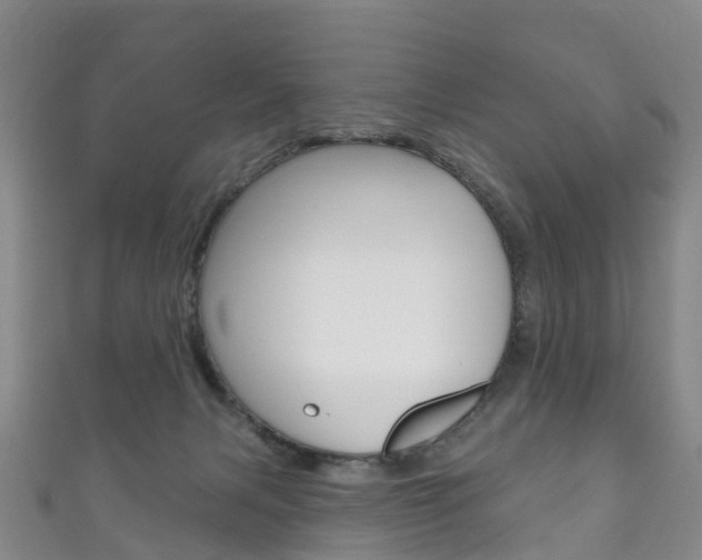 X0000111930079200907271039