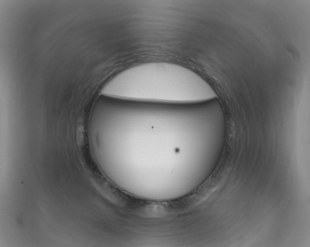 X0000111930080200907271039