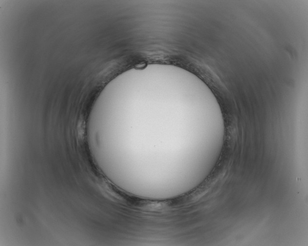 X0000111930081200907271039
