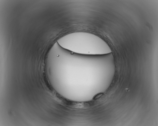 X0000111930083200907271039