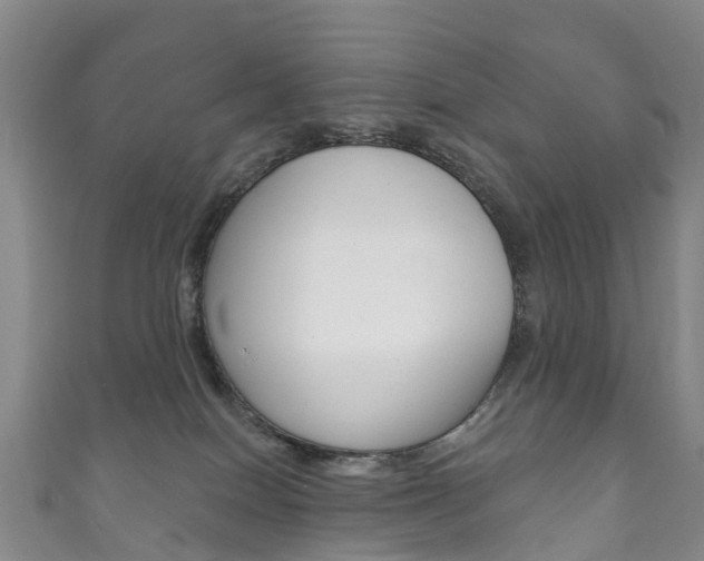 X0000111930086200907271039