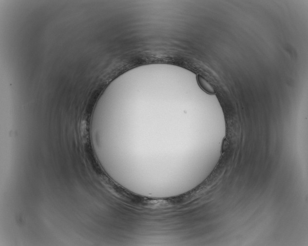 X0000111930087200907271039