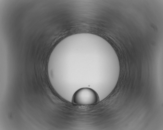 X0000111930088200907271039