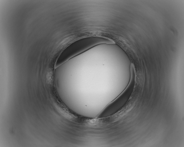 X0000111930092200907271039