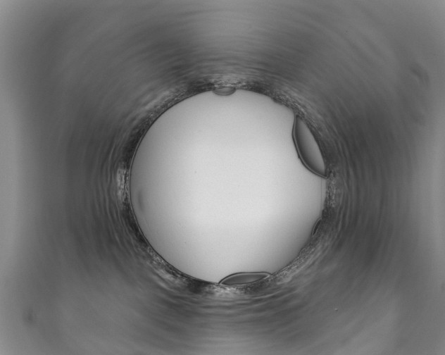 X0000111930093200907271039