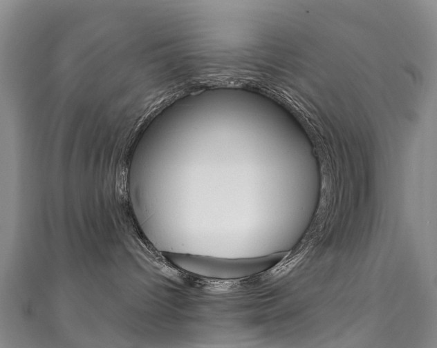 X0000111930096200907271039