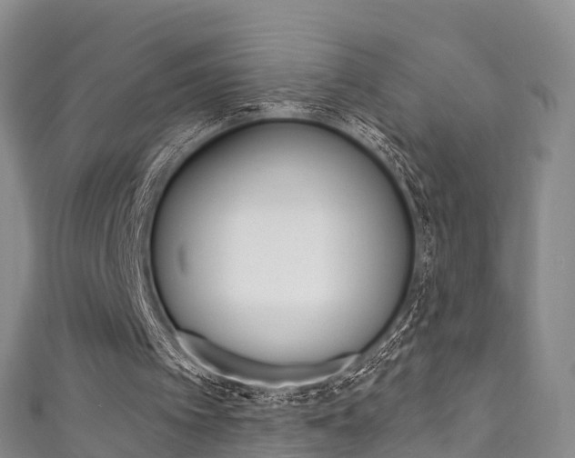 X0000111930097200907271039
