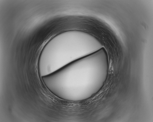 X0000111930099200907271039