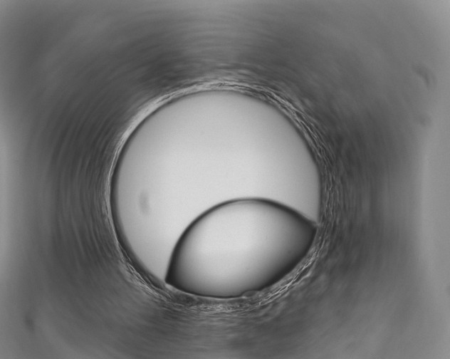X0000111930100200907271039
