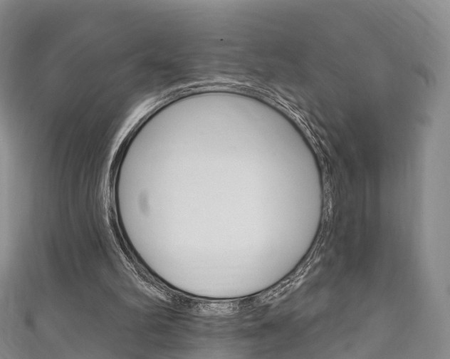 X0000111930102200907271039