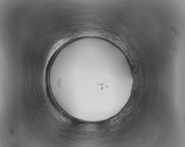 X0000111930104200907271039