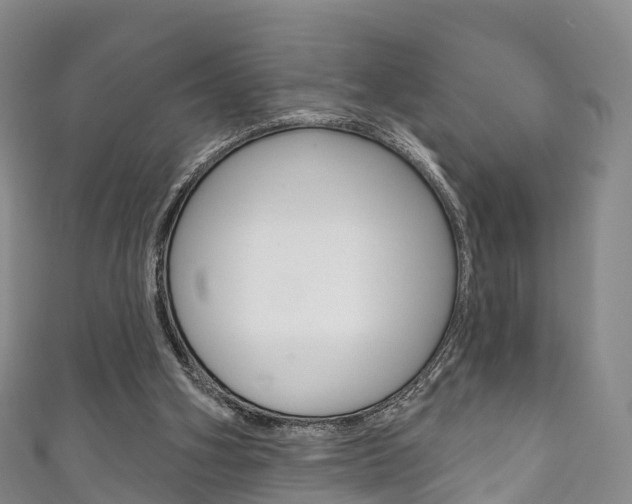 X0000111930106200907271039