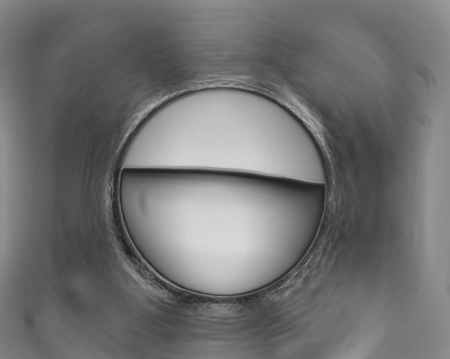 X0000111930107200907271039