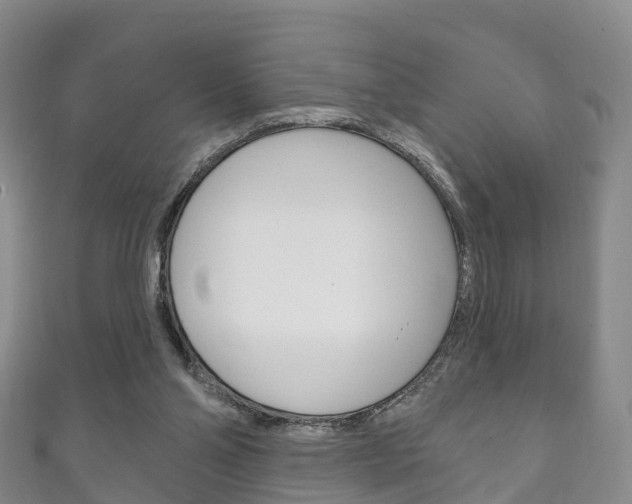 X0000111930110200907271039