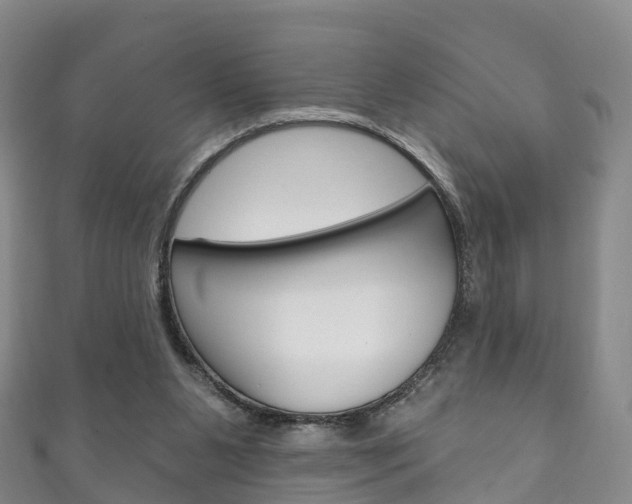 X0000111930111200907271039