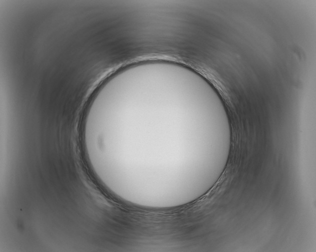 X0000111930112200907271039