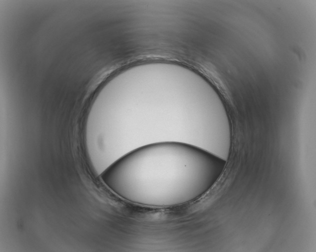X0000111930116200907271039