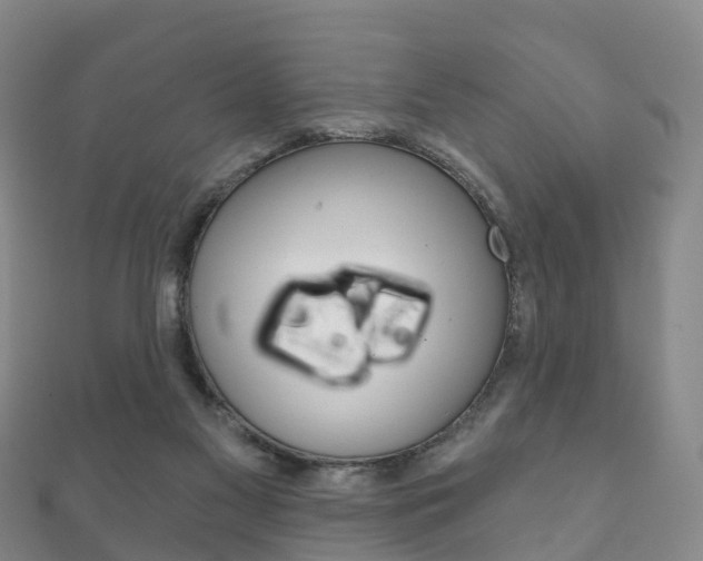 X0000111930117200907271039