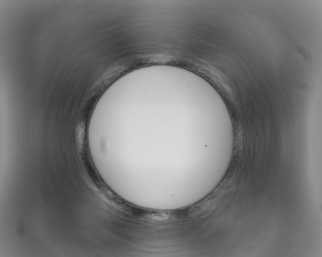 X0000111930118200907271039