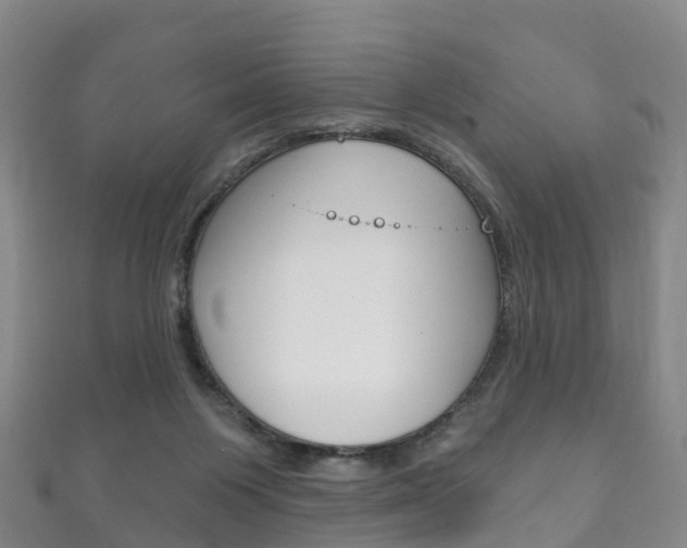 X0000111930119200907271039