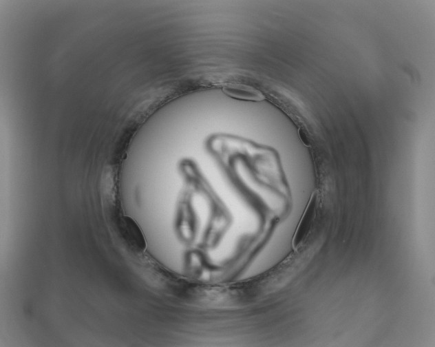 X0000111930121200907271039