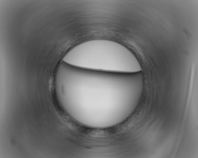 X0000111930123200907271038