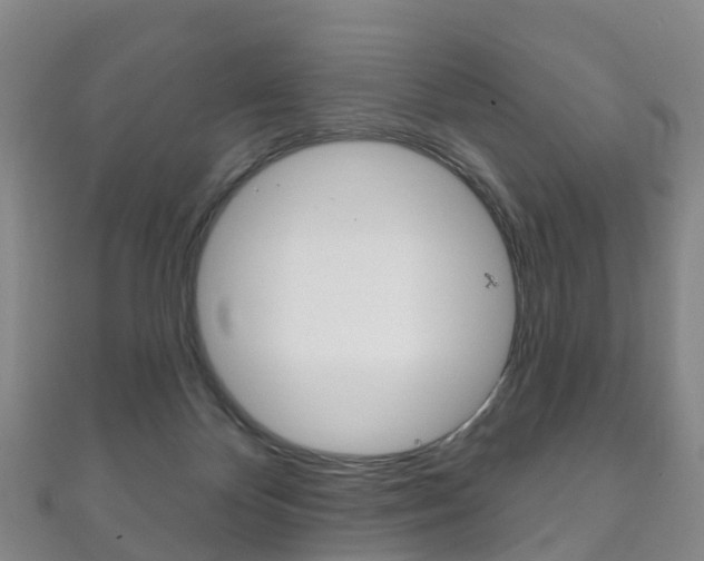 X0000111930124200907271038