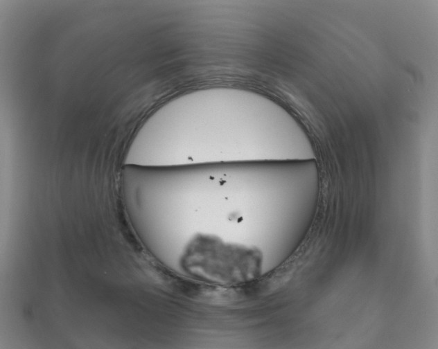 X0000111930125200907271038